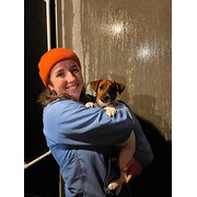 House Sitter - Experienced and responsible animal lover