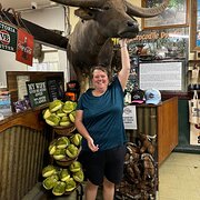 House Sitter - The road traveller