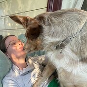 House Sitter - Compassionate and Responsible Pet Sitter