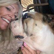 House Sitter - Outdoors & animal lover