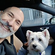 House Sitter - The Friendly Moustache 