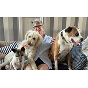 House Sitter - Reliable Mature Caring Female Sitter