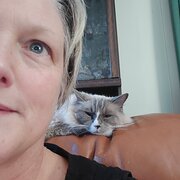 House Sitter - How can I help?