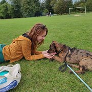 House Sitter - Caring and reliable sitter in SE QLD