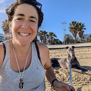 House Sitter - Adina