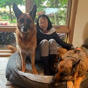 House Sitter - Japanese traveler with dedication