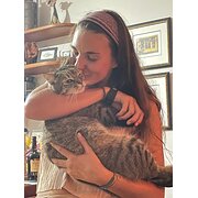 House Sitter - Animal lover & traveller 