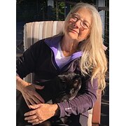 House Sitter - Someone you can absolutely count on!