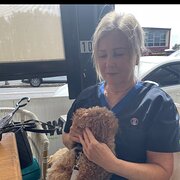 House Sitter - Reliable house sitter