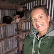 House Sitter - Respectful locally based animal lovers 