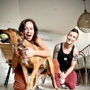 House Sitter - Pet lovers,friendly, reliable and clean