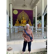 House Sitter - Pam looking to house sit South Sydney