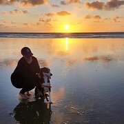 House Sitter - Dorothy 