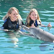 House Sitter - Peaceful & Pet-Loving Mum & Daughter Du