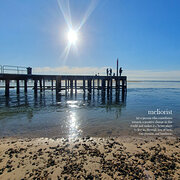 House Sitter - Mature Lady