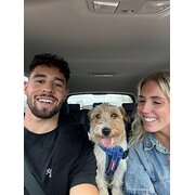 House Sitter - Alanah & Josh