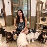 House Sitter - Katie-reliable care for your pets & home