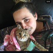 House Sitter - Loving and responsible for your babies