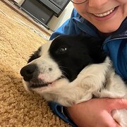 House Sitter - Fernanda