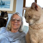 House Sitter - Angela - Reliable, Caring & Experienced