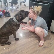 House Sitter - Gabrielle