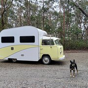 House Sitter - Leesa ✨️