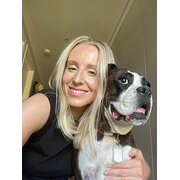 House Sitter - Friendly and reliable house-sitter