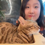 House Sitter - Avaliable Reliable Loving pet sitter