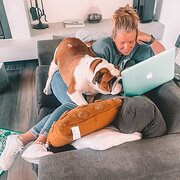 House Sitter - Experienced, friendly, reliable sitter!