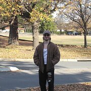 House Sitter - Darcy – House Sitter 