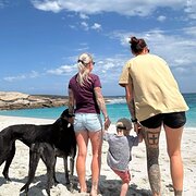 House Sitter - Familyfirst