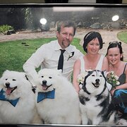 House Sitter - Animal Lovers