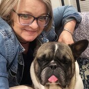 House Sitter - Elite house sitting - travel with trust