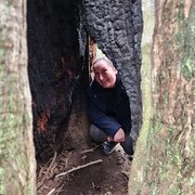 House Sitter - Eilish and Apollo 🐶