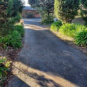 Home Owner wanting sitter in Melbourne, Victoria