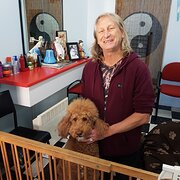 House Sitter - Steve