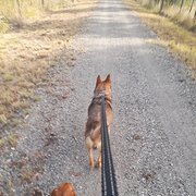 House Sitter - The Happy Wanderer