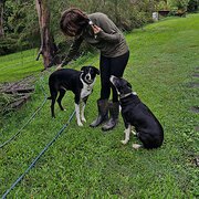 House Sitter - Backpackers looking for a housesitting