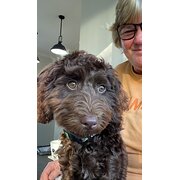 House Sitter - Nicole-mature, friendly & conscientious