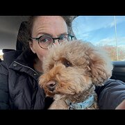 House Sitter - TeeTee