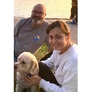 House Sitter - Reliable animal lovers