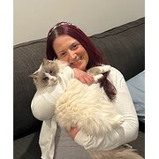 House Sitter - The very best care for your home and pet