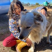 House Sitter - Gentle, Trusted Pet & Home Caring Family