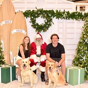 House Sitter - Interstate Uni student & Animal Lover! 