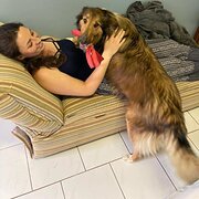 House Sitter - Young working professional