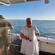 House Sitter - Retired professional