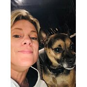 House Sitter - Fur-Ever Friend