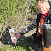 House Sitter - Mickey