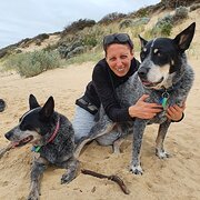 House Sitter - Danie