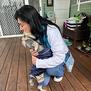 House Sitter - WONDER WOMAN TO YOUR RESCUE